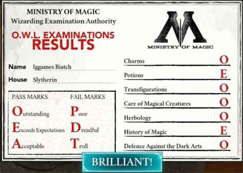 The O.W.L Exam .